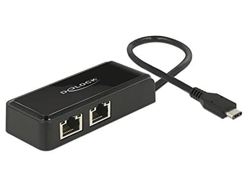 DeLock Adapter USB-C 3.1 Gen 1 > 2 x Gigabit LAN 10/100/1000 Mb/s - Netværksadapter - USB 3.1 Gen 1 - Gigabit Ethernet x 2 - Sort (63927)