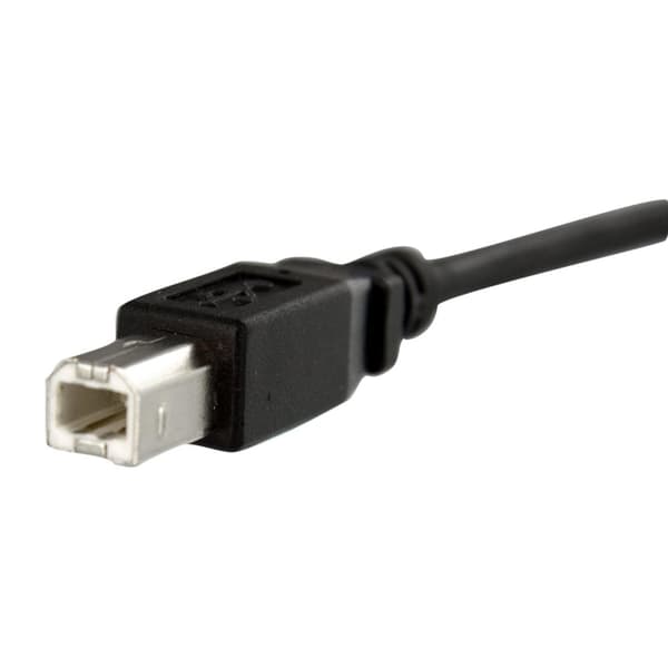 StarTech USB B - B kaapeli Slotbelch-asennukseen - Naaras/uros - USB-kaapeli - USB Type B 4-nastainen (F) - USB Type B 4-nastainen (M) - 30cm (USB/USB