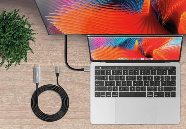 Trust Calyx - USB-C till HDMI-kabel - 4K-stöd - Svart