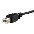 Miniatyrbillede 3 af 3: 3 fod panelmonteret USB-kabel B til B - F/M - Panelmonteret USB-forlænger USB-B hun til USB-B hanadapterkabel - USB-B (F) port
