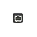 Miniatyrbild 3 av 5: Manhattan 337779 Hi-Speed USB 2.0 anslutningskabel (typ A hane till typ B hane) 5 m svart