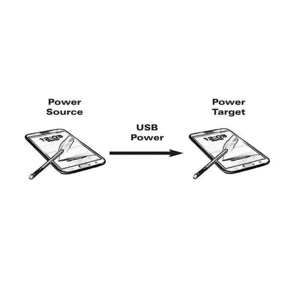 Delock - USB 2.0 Micro Hane till USB 2.0 Micro Hane - 0,3 m