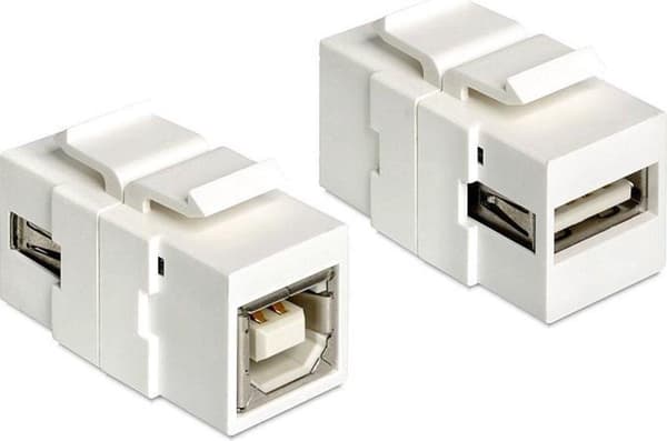 Delock - Keystone Module USB 2.0 A Buchse - USB 2.0 B Buchse