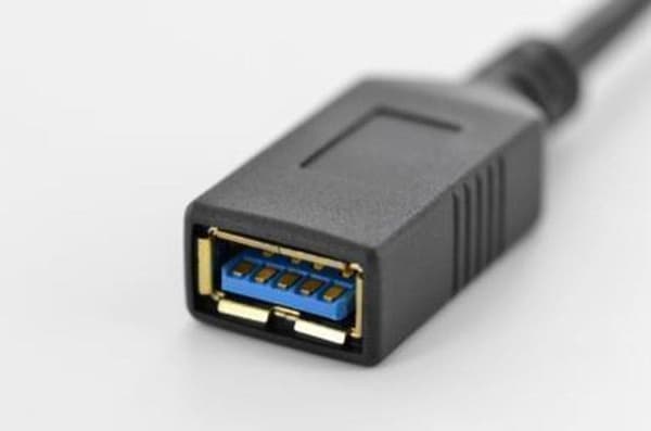 Digitus USB 3.2 Gen 1 (USB 3.0) Adapter [1x USB 3.2 Gen 1-uttag A (USB 3.0) - 1x USB 3.2 Gen 1-kontakt C (USB 3.0)] AK-300315-001-S Rund, Plugg passar