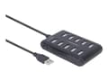 Miniatyrbild 5 av 5: Gembird UHB-U2P10P-01 - Hubb - 10 x USB 2.0 - skrivbordsmodell