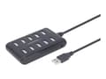 Miniatyrbild 1 av 5: Gembird UHB-U2P10P-01 - Hubb - 10 x USB 2.0 - skrivbordsmodell