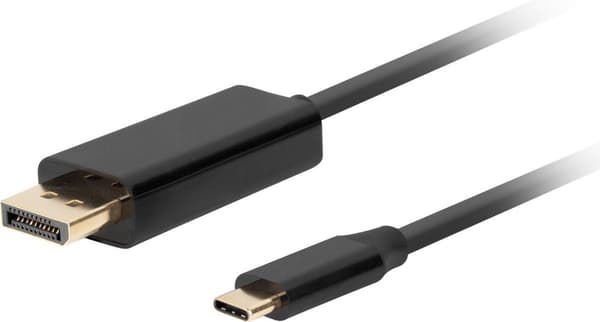 Lanberg CA-CMDP-10CU-0010-BK videokabeladapter 1 m USB Type-C DisplayPort Sort