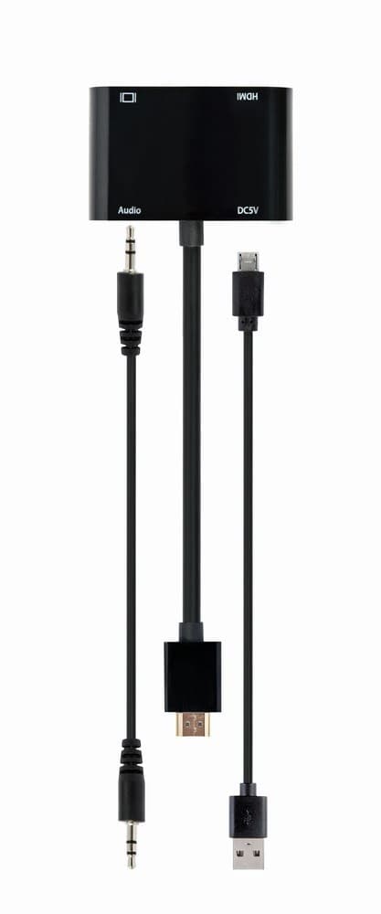 Gembird A-HDMIM-HDMIFVGAF-01 gränssnittskort/adapter HDMI, VGA