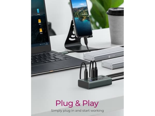 ICY BOX IB-HUB1454-C31 - Hub