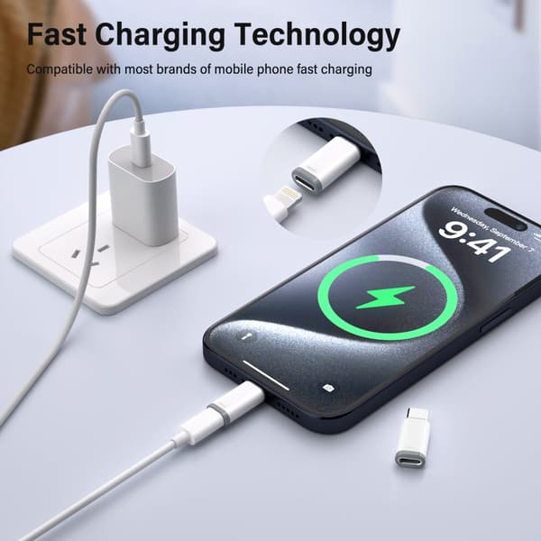 INF Lightning (hun) til USB-C (han) adapter