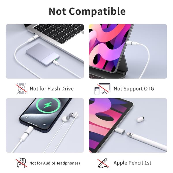 INF Lightning (hun) til USB-C (han) adapter