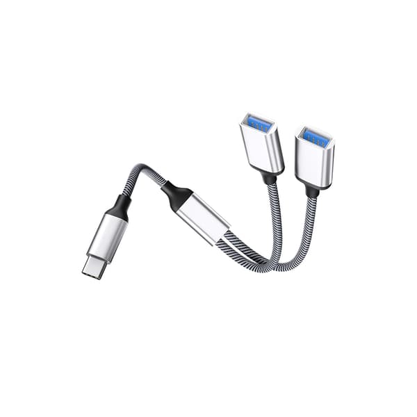 INF Type-C til Dual USB 2.0-adapter