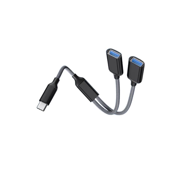 INF Type-C til Dual USB 2.0-adapter