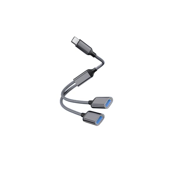 INF Type-C til Dual USB 2.0-adapter