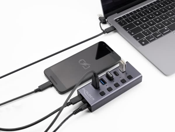 Delock - Hubb - 5 Gbps, 1 snabb laddningsport, + switch - 3 x USB + 2 x USB-C - skrivbordsmodell