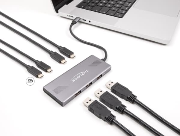 DeLOCK 64313, USB 3.2 Gen 2 (3.1 Gen 2) Type-C, USB 3.2 Gen 2 (3.1 Gen 2) Type-A, USB 3.2 Gen 2 (3.1 Gen 2) Type-C, 10000 Mbit/s, Grå, Aluminium, 80
