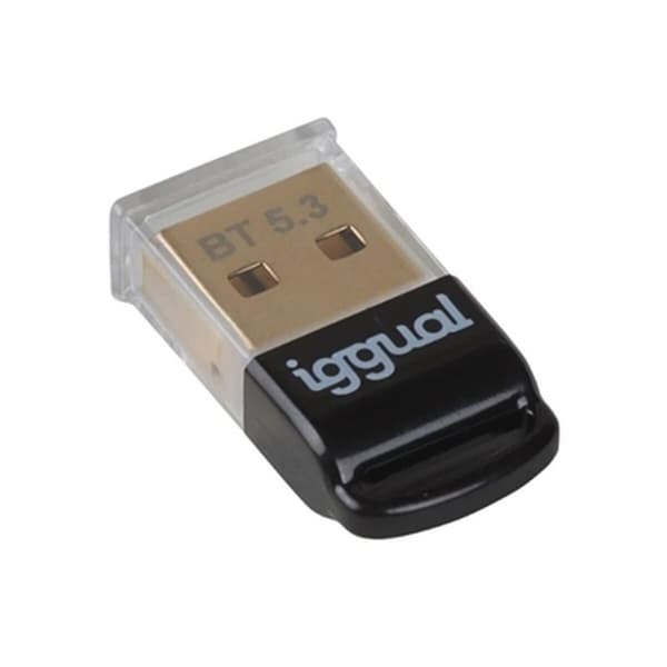 Bluetoothadapter iggual IGG319383 Sort