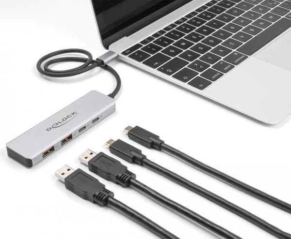 Delock - Hub - 10 Gbps, med 35 cm tilslutningskabel - 2 x USB 3.1 Gen 2 + 2 x USB-C - Desktop (64230)