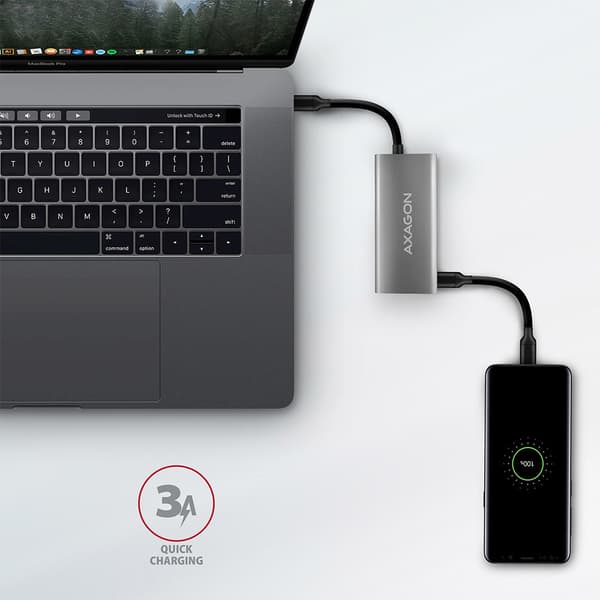 Axagon HMC-4G2 interface-hub USB 3.2 Gen 2 (3.1 Gen 2) Type-C 10000 Mbit/s Grå