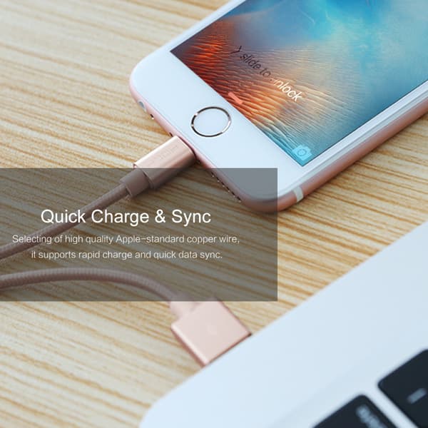 ROCK Metal Charge & Sync Lightning Cable 1m