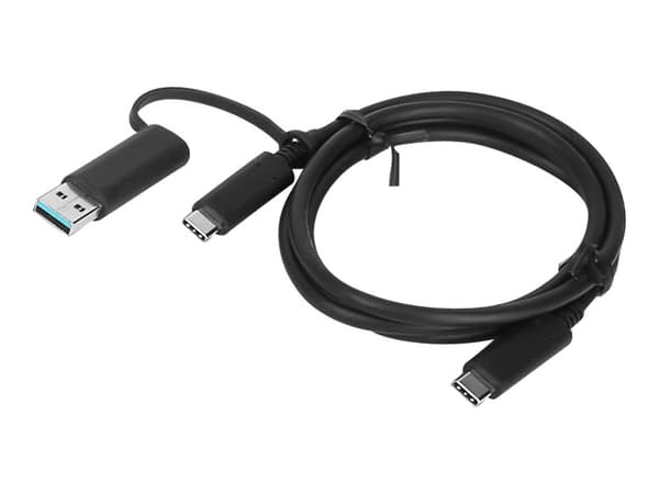 Lenovo - USB-kabel - 24 pin USB-C (hane) till 24 pin USB-C (hane) - 20 V - 5 A - 1 m - svart