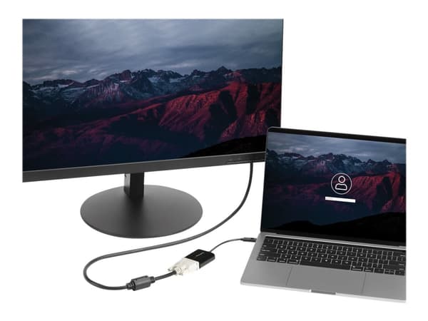 StarTech.com USB-C till DVI-adapter
