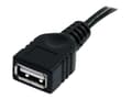 Miniatyrbild 5 av 5: StarTech.com 1,8 m svart USB 2.0-förlängningskabel A till A – M/F