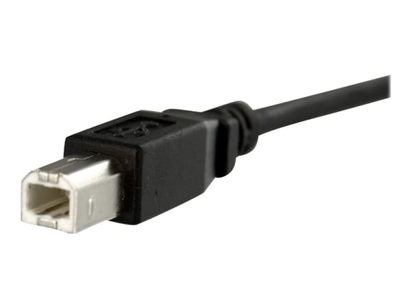 StarTech.com 1 ft Panel Mount USB Cable B to B - F/M - USB cable - USB Type B (F) to USB Type B (M) - USB 2.0 - 1 ft - molded, thumbscrews - black -