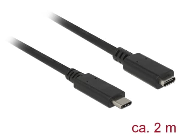 Delock - USB-förlängningskabel - 24 pin USB-C (hane) till 24 pin USB-C (hona) - USB 3.1 Gen 1 - 3 A - 2 m - svart