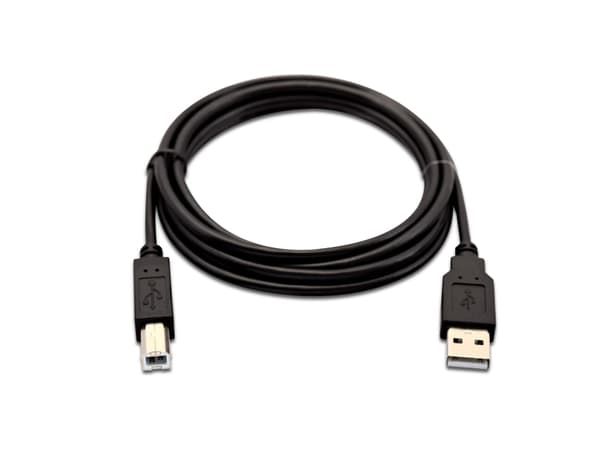 V7 - USB-kabel - USB (hann) til USB-type B (hann) - USB 2.0 - 2 m