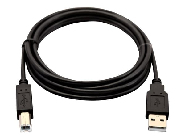 V7 - USB-kabel - USB (hann) til USB-type B (hann) - USB 2.0 - 2 m