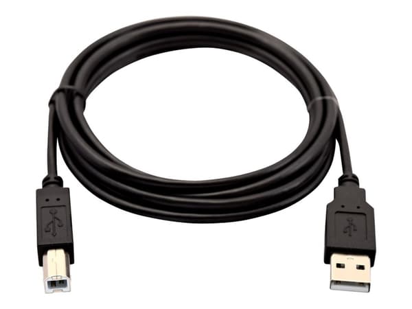 V7 - USB-kabel - USB (hann) til USB-type B (hann) - USB 2.0 - 2 m
