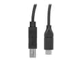 Miniatyrbild 3 av 5: StarTech.com USB-C till USB-B-skrivarkabel - M/M - 3 m - USB 2.0 - USB-kabel - 24 pin USB-C (hane) rak till USB typ B (hane) rak - Thunderbolt 3 / US