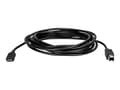 Miniatyrbild 4 av 5: StarTech.com USB-C till USB-B-skrivarkabel - M/M - 3 m - USB 2.0 - USB-kabel - 24 pin USB-C (hane) rak till USB typ B (hane) rak - Thunderbolt 3 / US