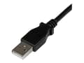 Miniatyrbild 2 av 5: StarTech.com 2m USB 2.0 A to Right Angle B Cable Cord - 2 m USB Printer Cable - Right Angle USB B Cable - 1x USB A (M), 1x USB B (M) (USBAB2MR) - USB