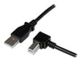 Miniatyrbild 1 av 5: StarTech.com 2m USB 2.0 A to Right Angle B Cable Cord - 2 m USB Printer Cable - Right Angle USB B Cable - 1x USB A (M), 1x USB B (M) (USBAB2MR) - USB