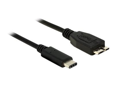 Delock - USB-kabel - Micro-USB typ B (han) till 24 stift USB-C (han) - USB 3.1 Gen 2 - 1 m - sorterad