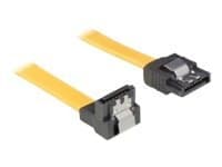 DeLOCK 0.7m SATA Cable, 0,7 m, Keltainen