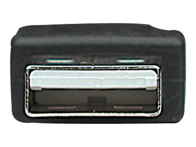 Manhattan 333382, 3 m, USB A, USB B, USB 2.0, Hane/Hane, Svart