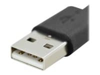 ASSMANN - USB-kaapeli - USB (han) til USB-C (han) - 1,8 m - formet, omvendelig C-stikforbindelse - lajittelu
