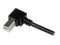 Miniatyrbilde 4 av 5: StarTech.com USBAB1MR USB-kabel 1 m USB 2.0 USB A USB B Sort