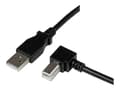 Miniatyrbilde 2 av 5: StarTech.com USBAB1MR USB-kabel 1 m USB 2.0 USB A USB B Sort