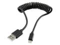 Miniatyrbilde 4 av 5: Renkforce RF-4087422, 0,95 m, Lightning, USB A, Hankjønn, Hankjønn, Svart
