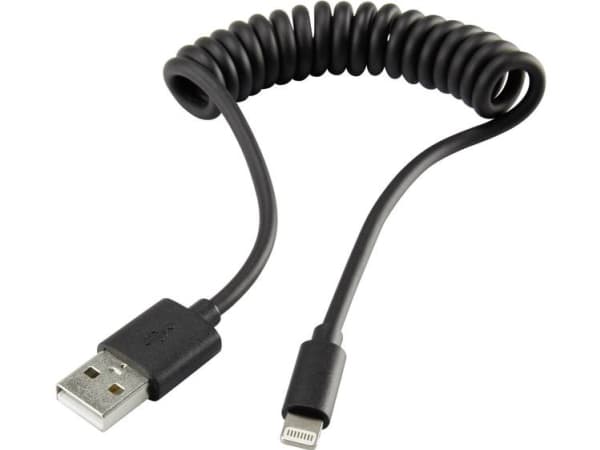 Renkforce RF-4087422, 0,95 m, Lightning, USB A, Hankjønn, Hankjønn, Svart