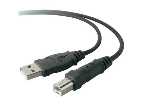 Belkin Premium Printer Cable - USB-kabel - USB typ B (hane) till USB (hane) - USB 2.0 - 1.8 m - formpressad