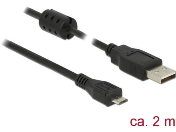 Delock - USB-kabel - USB (hane) till mikro-USB typ B (hane) - USB 2.0 - 2 m - svart
