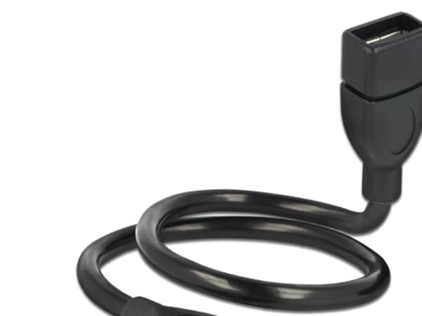 Delock ShapeCable - USB-förlängningskabel - USB (hona) till USB (hane) - 35 cm - svart