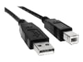 Miniatyrbild 1 av 5: Akyga AK-USB-04 - USB-kabel - USB (hane) till USB typ B (hane) - 1.8 m - svart