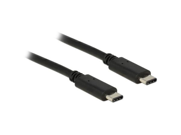 Delock - USB-kabel - 24 pin USB-C (han) til 24 pin USB-C (han) - USB 2.0 - 1 m - sort
