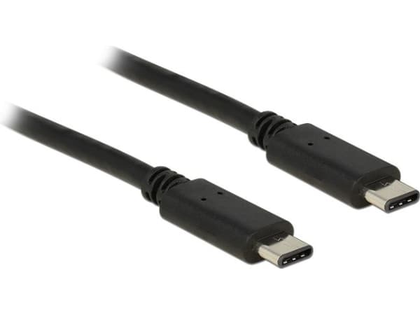 Delock - USB-kabel - 24 pin USB-C (han) til 24 pin USB-C (han) - USB 2.0 - 1 m - sort